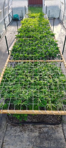 Outdoor 2026
