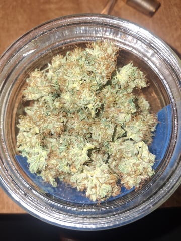 Astro cheese — done, day 158