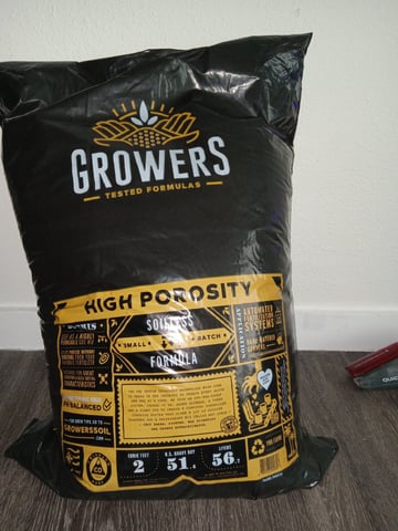 Blueberry critical kush x purple peyote wifi  and one L.a kush cake . — seedling_rooting, day 2