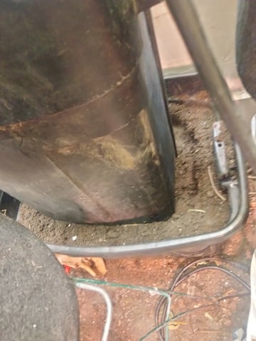 jay seaton  — vegetative, day 12