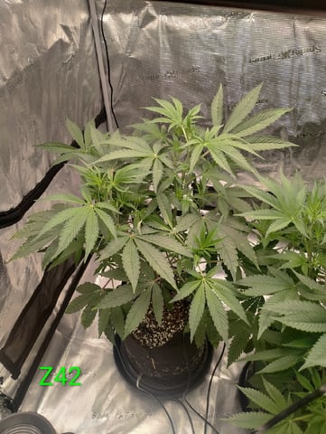 Photo Time📸🕞 — flower, day 58