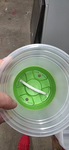 Girl Scout Cookies  — vegetative, day 15