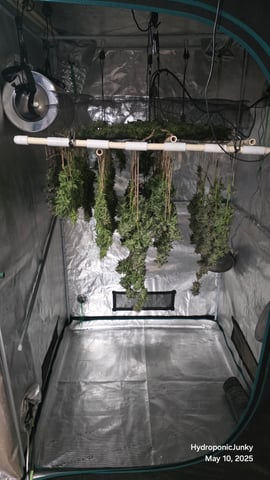Grow #1 — harvest, day 115