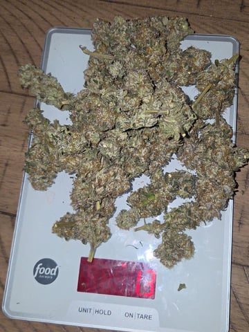 Bruce Banner #4  — harvest, day 131