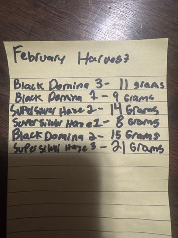 SSH and BD — done, day 100