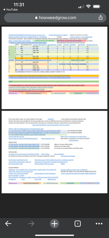 Green Gelato — vegetative, day 1