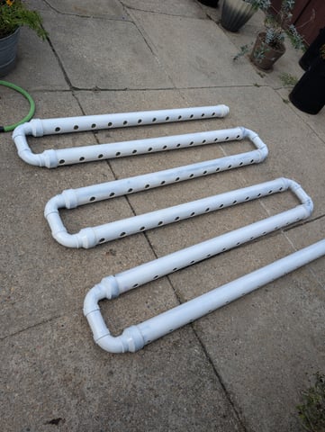 outdoor hydro ladder — vegetative, day 119