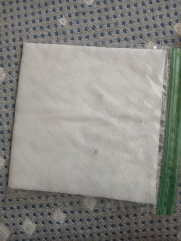 veve — grow_setup, day 2