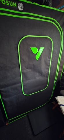 Here We Grow... — flower, day 136