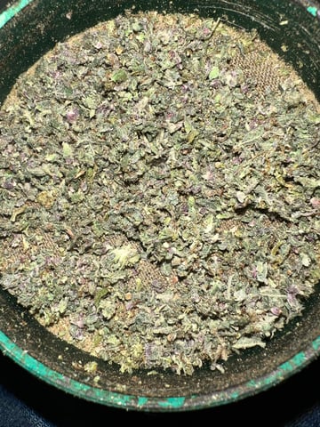 Indoor Grow  — flower, day 112