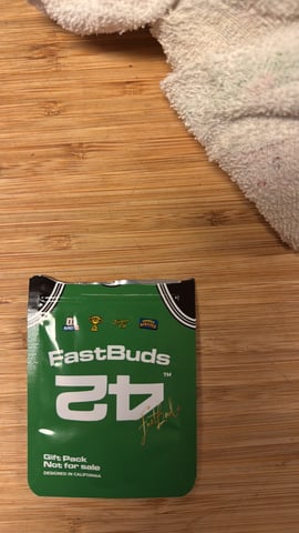 GCA — germination, day 1