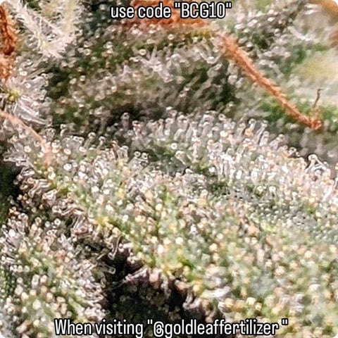 Dwc & Soil Run. 