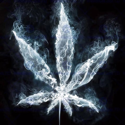 blunt_boy