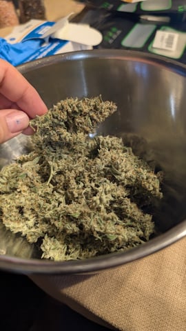 Grow 1 — harvest, day 84