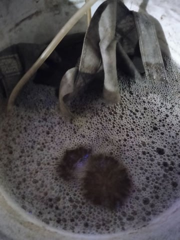 jay seaton  — done, day 208