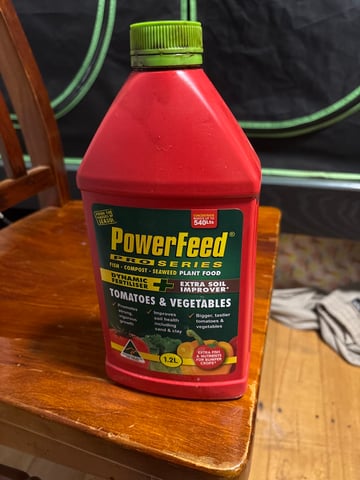 frosted cherry os f3 x2 — vegetative, day 20