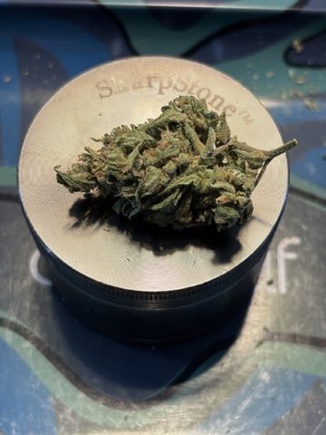3 seeds  — harvest, day 98