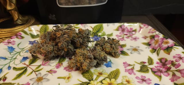 DIY cannatrol dry/curing chamber  — grow_setup, day 62