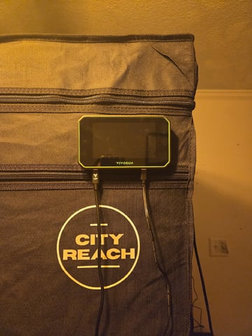 Laundry Shaman — vegetative, day 36