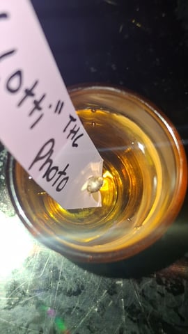 RQS Biscotti  — germination, day 2