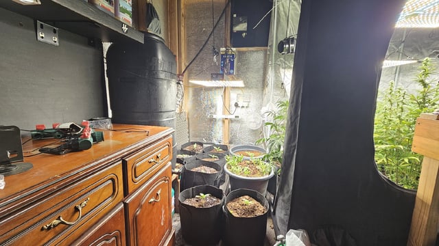 4th APRIL — grow_setup, day 13