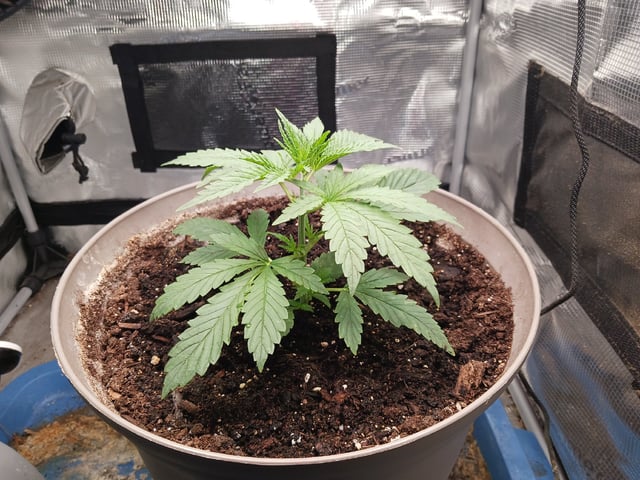 2nd Grow 2026 