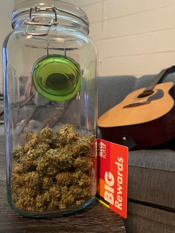 Amnesia Haze (First Ever Grow) — done, day 140