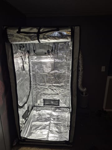 OG Kush Auto — grow_setup, day 1
