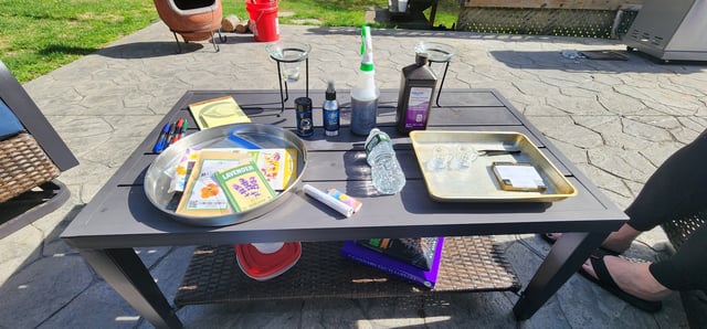 Here We Grow... — germination, day 2