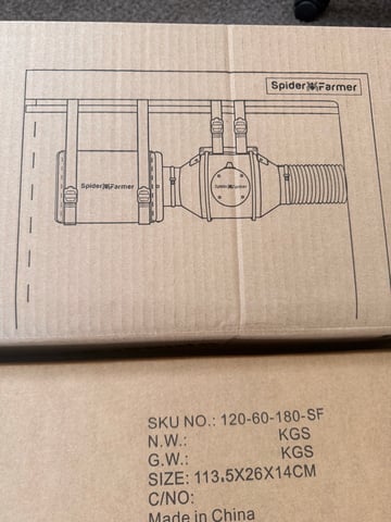 Gorilla Runtz — flower, day 40