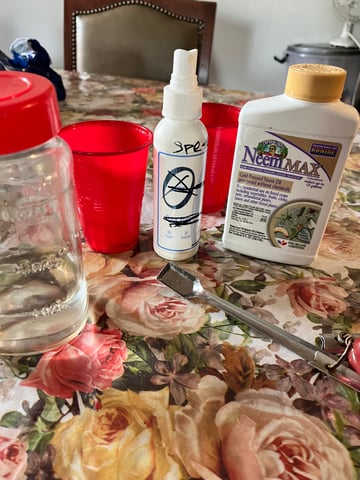 My Devine Conscious  — vegetative, day 81