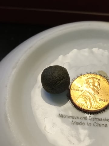 Blueberry critical kush x purple peyote wifi  and one L.a kush cake . — flower, day 55