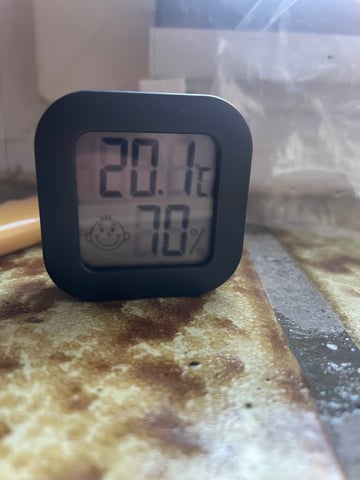 Growing speed  — grow_setup, day 1