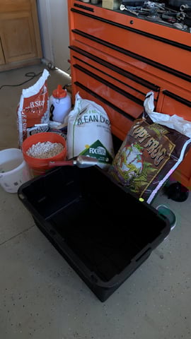 Double Smile And (Alien Vs Triangle X Strawberry Nuggets) — seedling_rooting, day 13