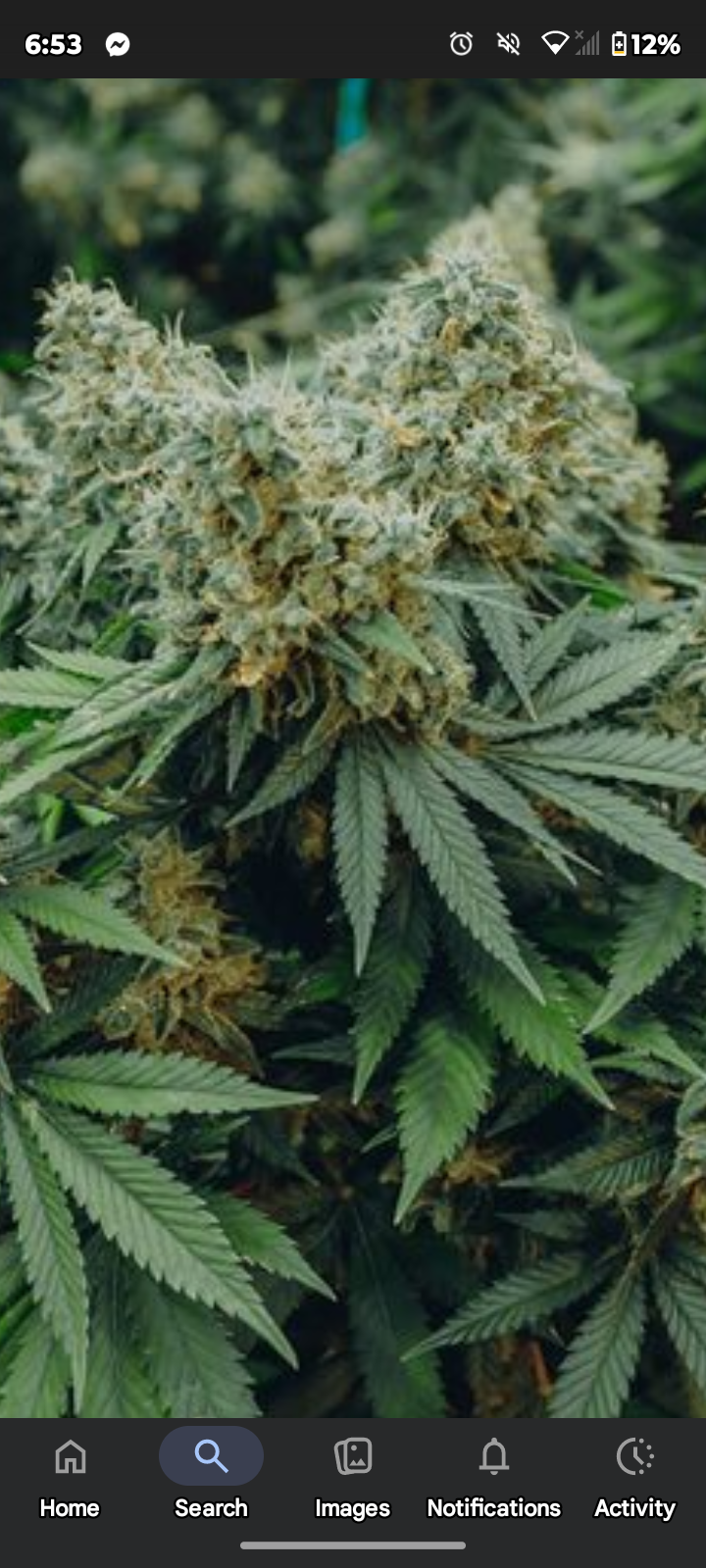CustomGrowers101