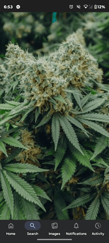 CustomGrowers101