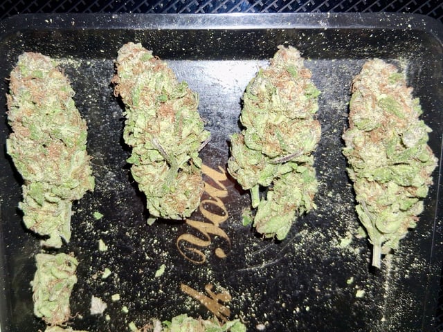 Blueberry Muffin  — done, day 17