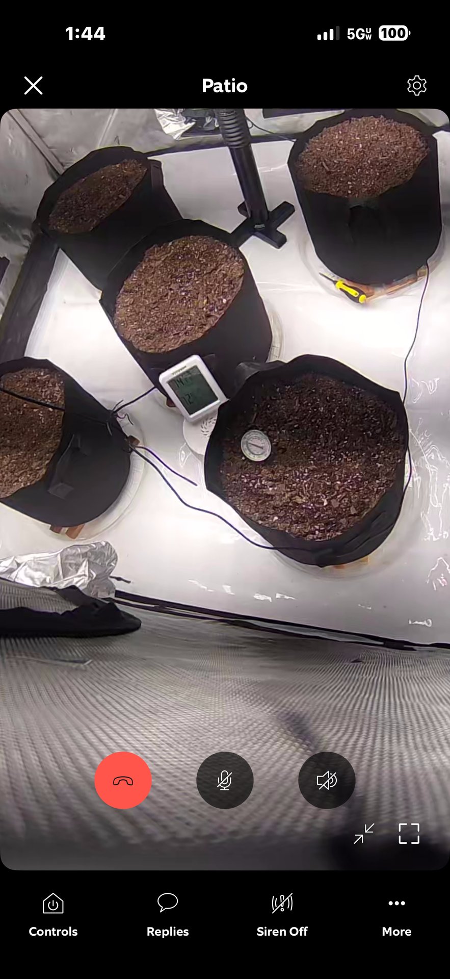 Firstgrow-autoflowers