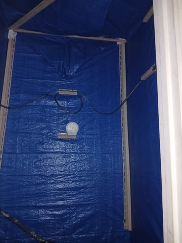 1st Grow — grow_setup, day 5