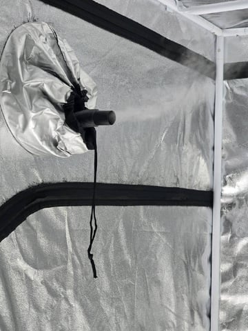 3rd Auto Grow — vegetative, day 46