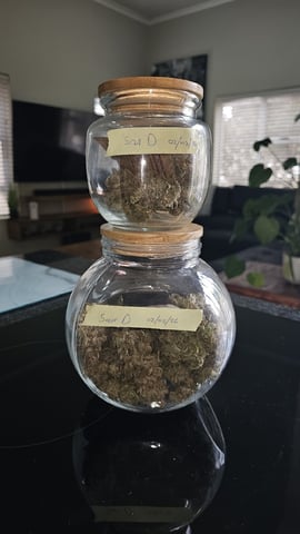 first grow adventure 