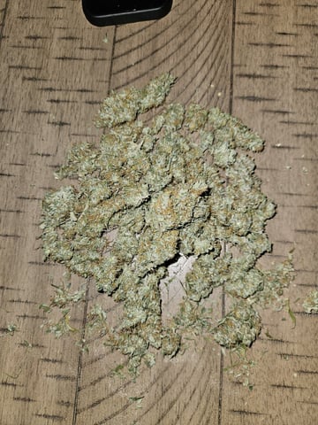 Gorilla Z auto — harvest, day 106