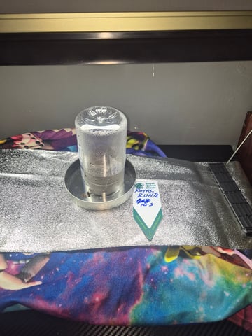 I'll get it right — germination, day 1