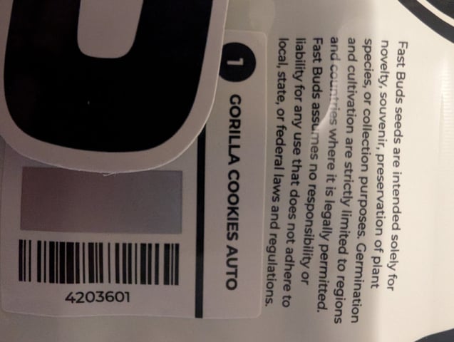 Zkittlez (Auto) — vegetative, day 18