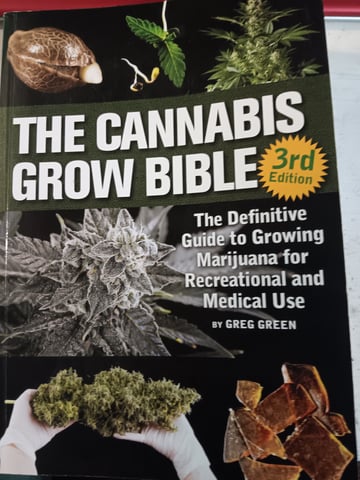 Master Kush — flower, day 74