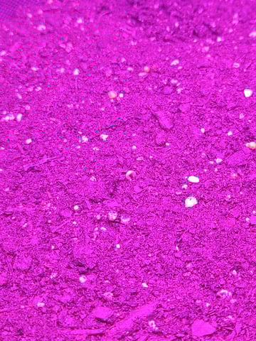 First Grow — seedling_rooting, day 1