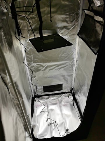 First grow in first set up — grow_setup, day 6