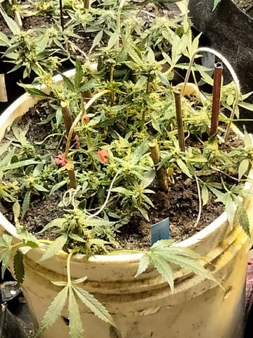 jay seaton  — done, day 224