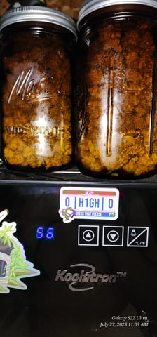 Punch Mints Pheno #2 — harvest, day 69