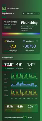 fruity pebbles, cap junky — flower, day 97